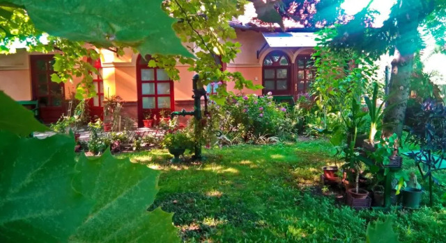 3 Platana, Réserver Maison d'hôtes Palić Vojvodina