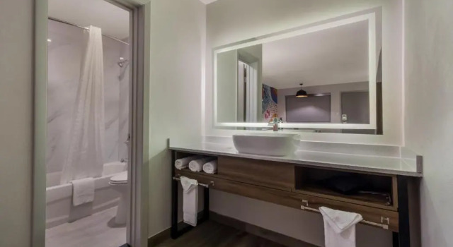 Люкс Signature Inn Houston Galleria