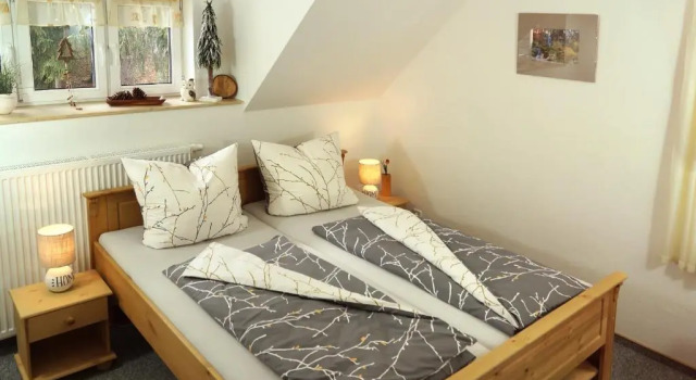 Двухместный номер Standard Erzgebirgshotel Misnia Bärenfels