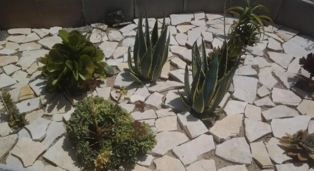 Коттедж Casa Corofulu Oliena - IUN P2139