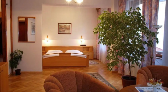 Номер Superior Hotel Grand Matej