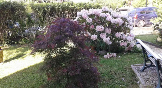 Апартаменты Les Floralies bis