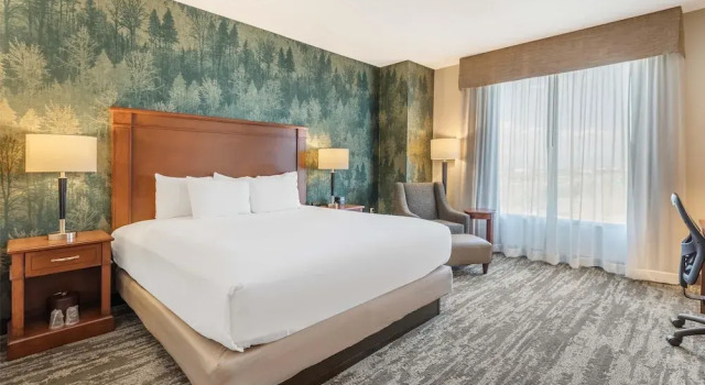 Номер Standard Drury Plaza Hotel Denver Central Park