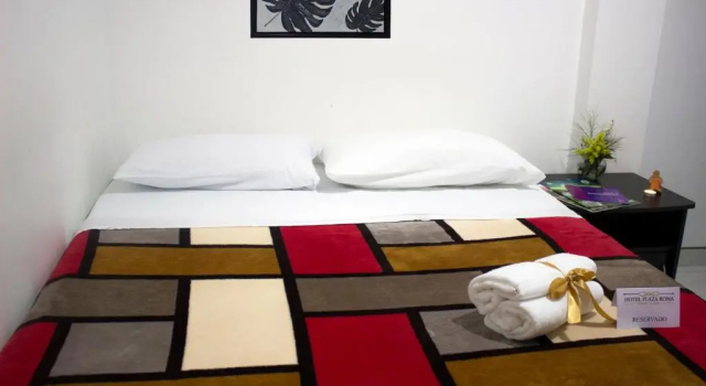 Двухместный номер Standard Hotel Plaza Roma