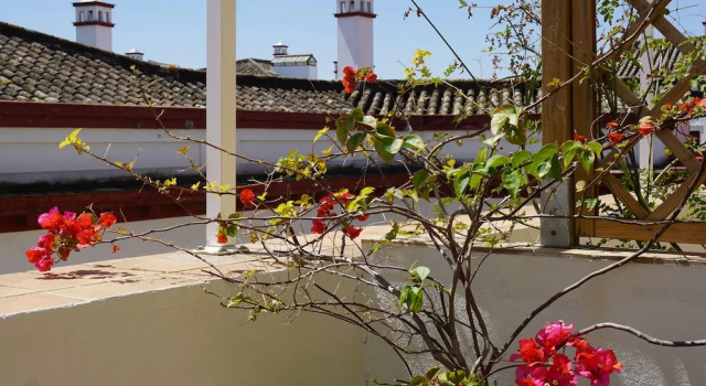 Семейный номер Standard с балконом Black Swan Hostel Sevilla