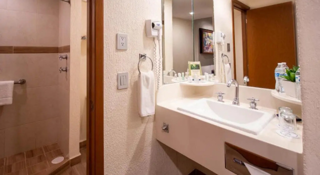 Двухместный номер Standard Hotel Guadalajara Plaza Expo