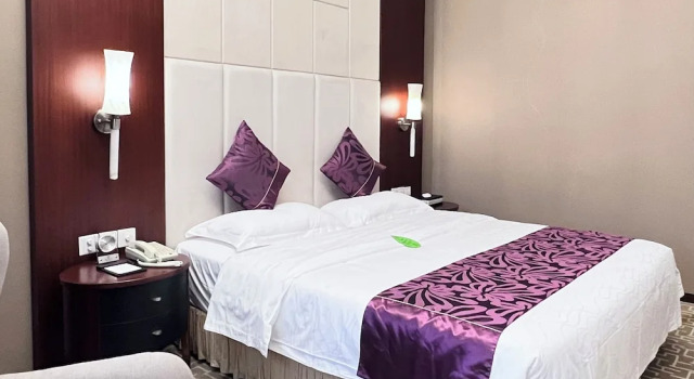 Номер Executive Century Plaza Hotel