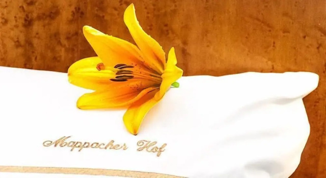 Номер Standard Landhotel Mappacher Hof