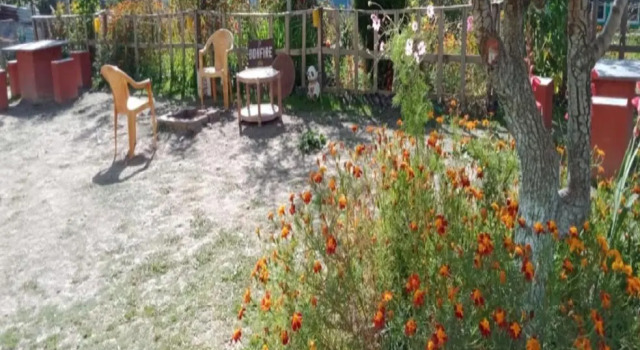 Номер Deluxe StayApart Shruti Guest House