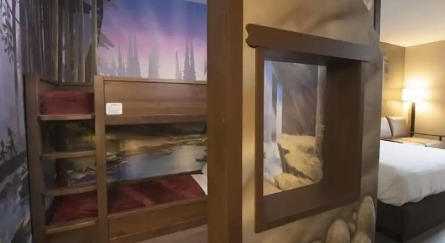 Люкс Great Wolf Lodge Naples