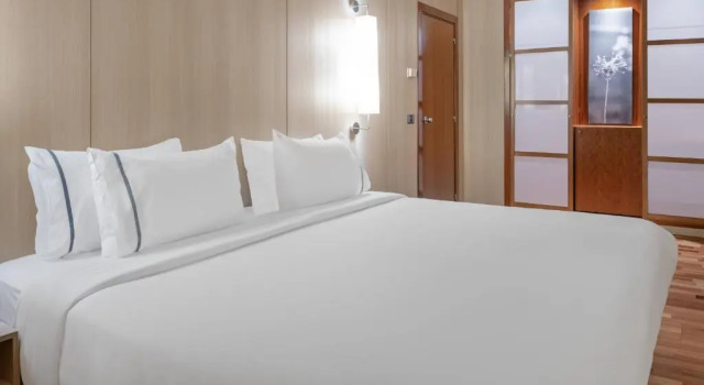 Двухместный полулюкс AC Hotel Málaga Palacio by Marriott