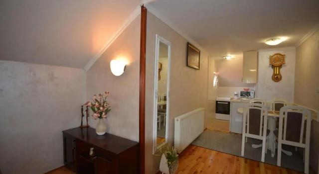 Apartment Vihor