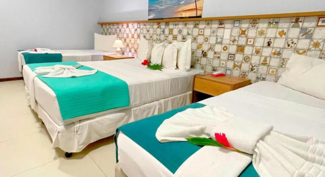 Люкс Eco Pousada Paraíso dos Coqueirais