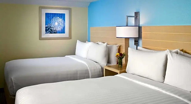 Четырёхместный люкс с 2 комнатами Residence Inn Chicago Lombard