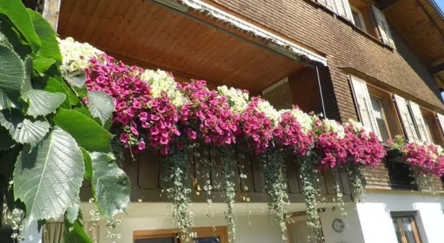 Ferienwohnung Kaufmann, Book Apartment Hotels in Vorarlberg with Parking, Parking