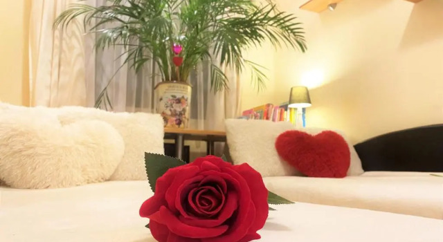 Апартаменты Albina apartman
