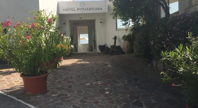 Pithaecusa