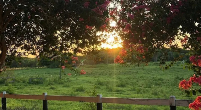Номер Economy Pantanal Ranch Meia Lua