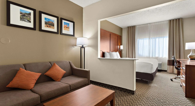 Двухместный люкс Comfort Suites University