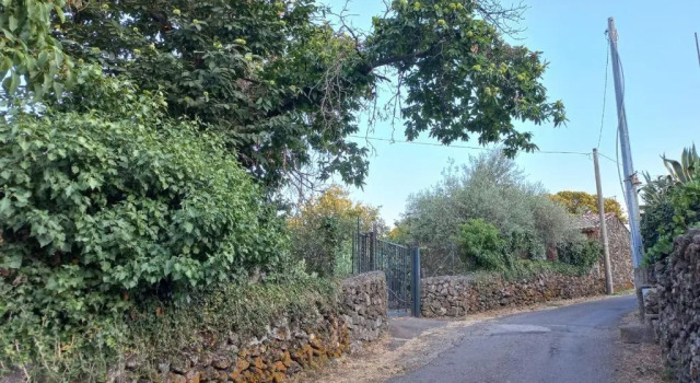 La casa di Bacco - Etna Country House - Affitto breve