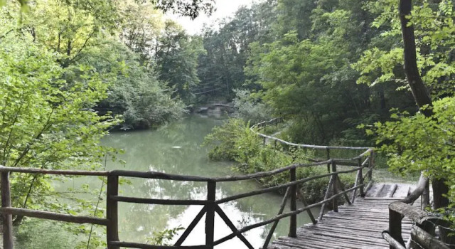 Parco Matildico Di Montalto, Book Hotel Vezzano sul Crostolo 