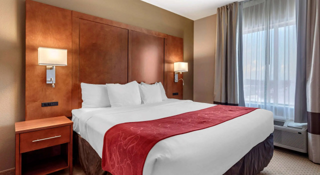 Двухместный люкс Comfort Suites Florence Shoals Area