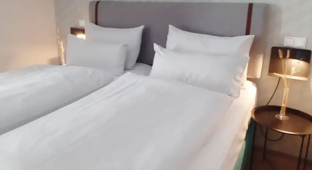 Номер Standard Garner Hotel Vienna by IHG