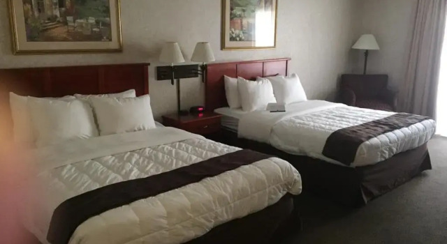 Четырёхместный номер Standard с видом на бассейн Quality Inn & Suites Albuquerque Midtown - University Area