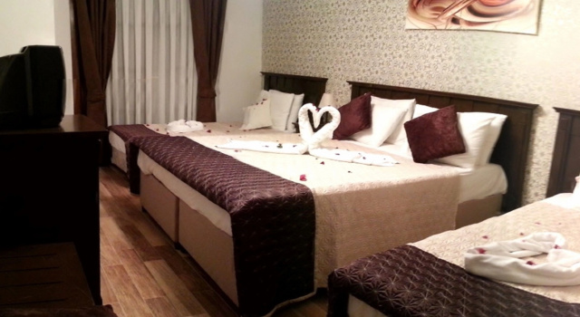 Одноместный номер Standard с видом на сад Palmeden Hotel