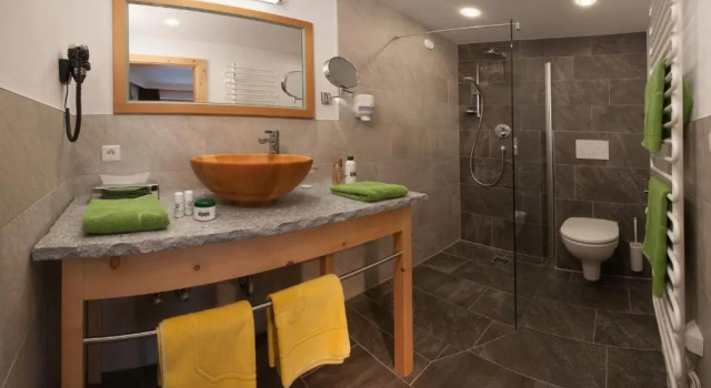Номер Standard Natur- & Wanderhotel Tuxertal