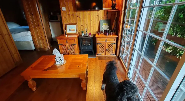 Номер Standard Robin Hill House Heritage B&B