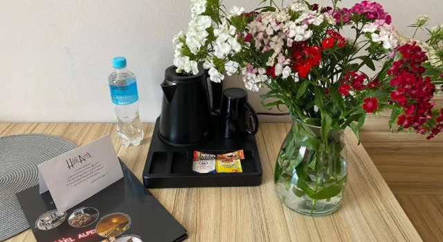 Номер Standard Hotel Alpex