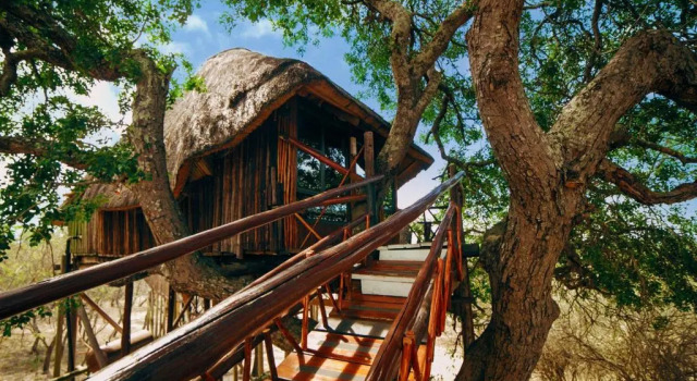 Двухместный номер Standard с балконом Pezulu Tree House Lodge