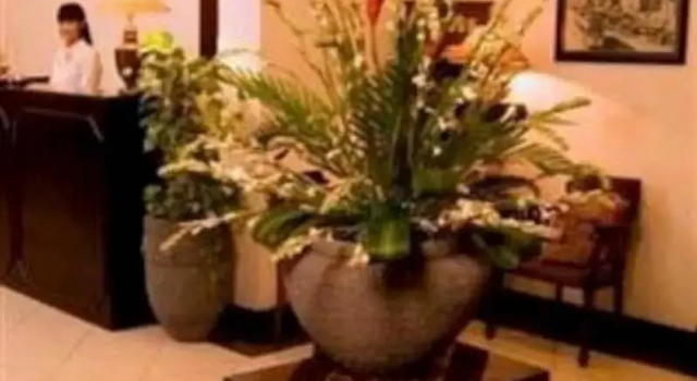 Hotel Widodaren, Rezerwuj Hotel Hotele 3-gwiazdkowe w Surabaja, w pobliżu Tunjungan Mall, 3*