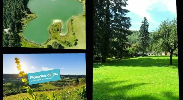Номер Standard A la Grenouille du Jura - Oyonnax Nantua
