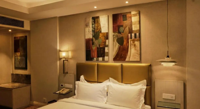 Двухместный номер Superior Park Plaza Faridabad