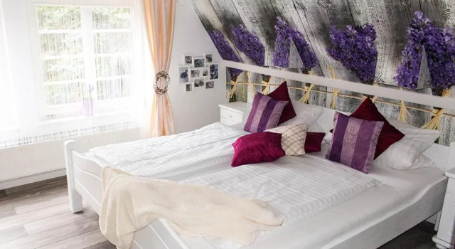 Двухместный номер Standard Forsthaus-Ferienhotel am Dobrock