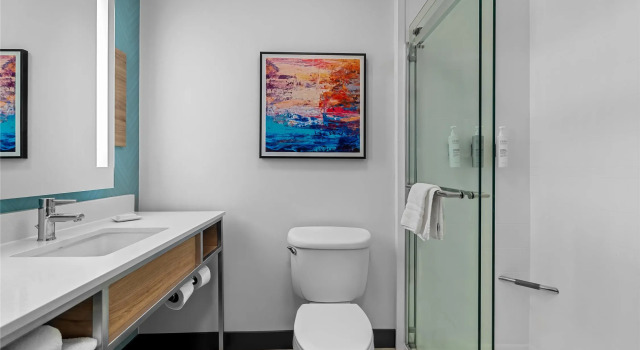 Двухместный номер Standard Hilton Garden Inn Cartersville