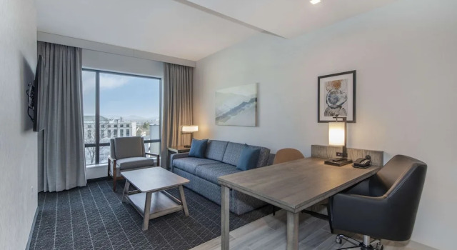 Двухместный номер Standard Embassy Suites By Hilton Asheville Downtown