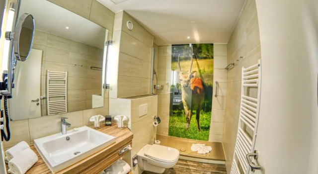 Двухместный номер Superior Hotel Gut Schmelmerhof