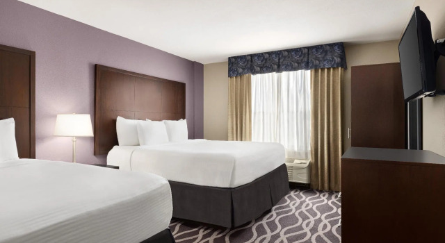 Четырёхместный номер Standard Best Western PLUS Dallas Hotel & Conference Center