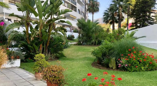 Апартаменты Studio Orquídea Beach 4