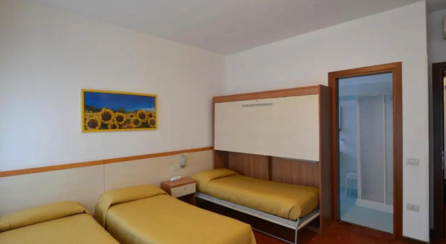 Трёхместный номер Standard HG Hotel Due Ragni