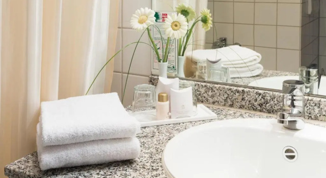 Одноместный номер Standard Hotel Rheingold