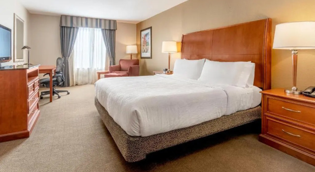 Полулюкс Hilton Garden Inn Houston/The Woodlands