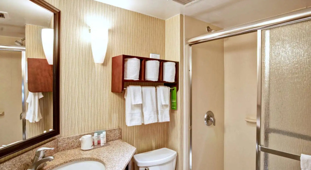 Номер Standard Hampton Inn College Station-Near Texas A&M University