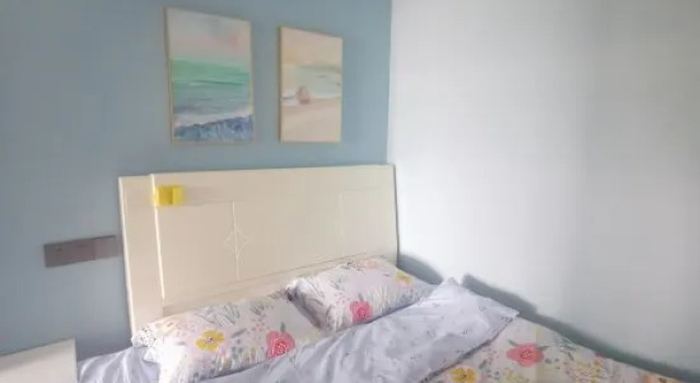 Люкс с 2 комнатами Xinmu Apartment (Wuhan AEON Menglecheng Branch)