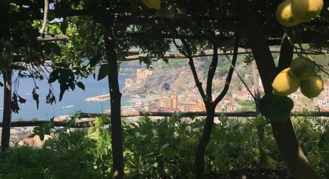 Коттедж Trappeto Reginnacielo Holiday home