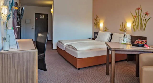 Номер Standard Hotelpark der Westerwald Treff
