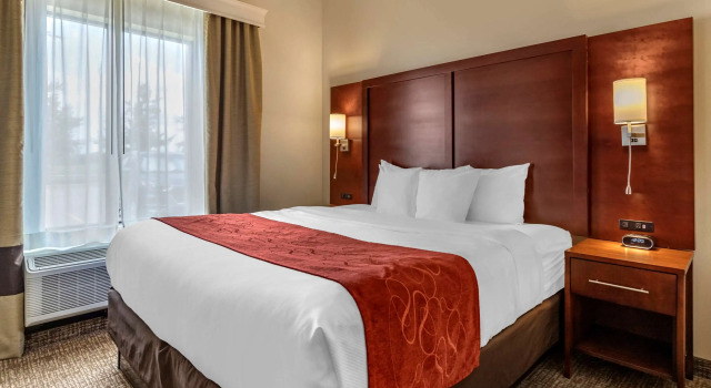 Двухместный люкс Comfort Suites Kyle